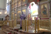 IMG_8933.jpg