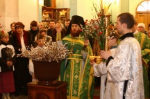 Вербное Воскресенье в Градо-Хабаровском Успенском соборе (1 апреля 2007 года)